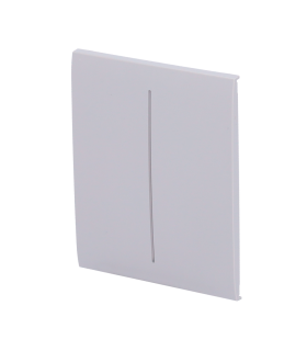 Touch panel for double light switch fog color