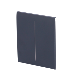 Panneau tactile pour double interrupteur  couleur graphite