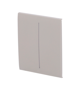 Touch panel for double light switch olive color