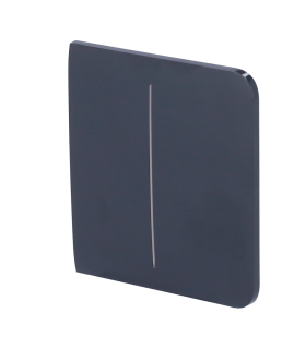 Panel táctil para un interruptor doble de luz Color grafito