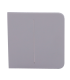 Panneau tactile pour un double interrupteur d'éclairage Couleur grise