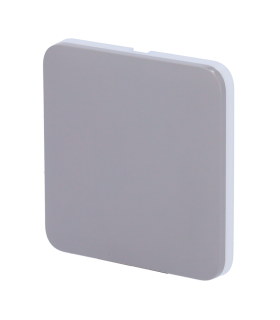 Ajax Solobutton Touch panel