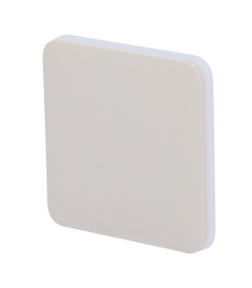 copy of Touch panel for a light switch Oyster colour