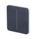 Touch panel for double light switch Graphite colour