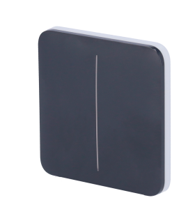 Panneau tactile pour double interrupteur d'éclairage Couleur graphite