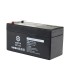 BATT-1213- Batteria ricaricabile Safire