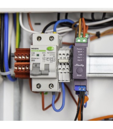 Relè Intelligente per Barra DIN Shelly Pro 2